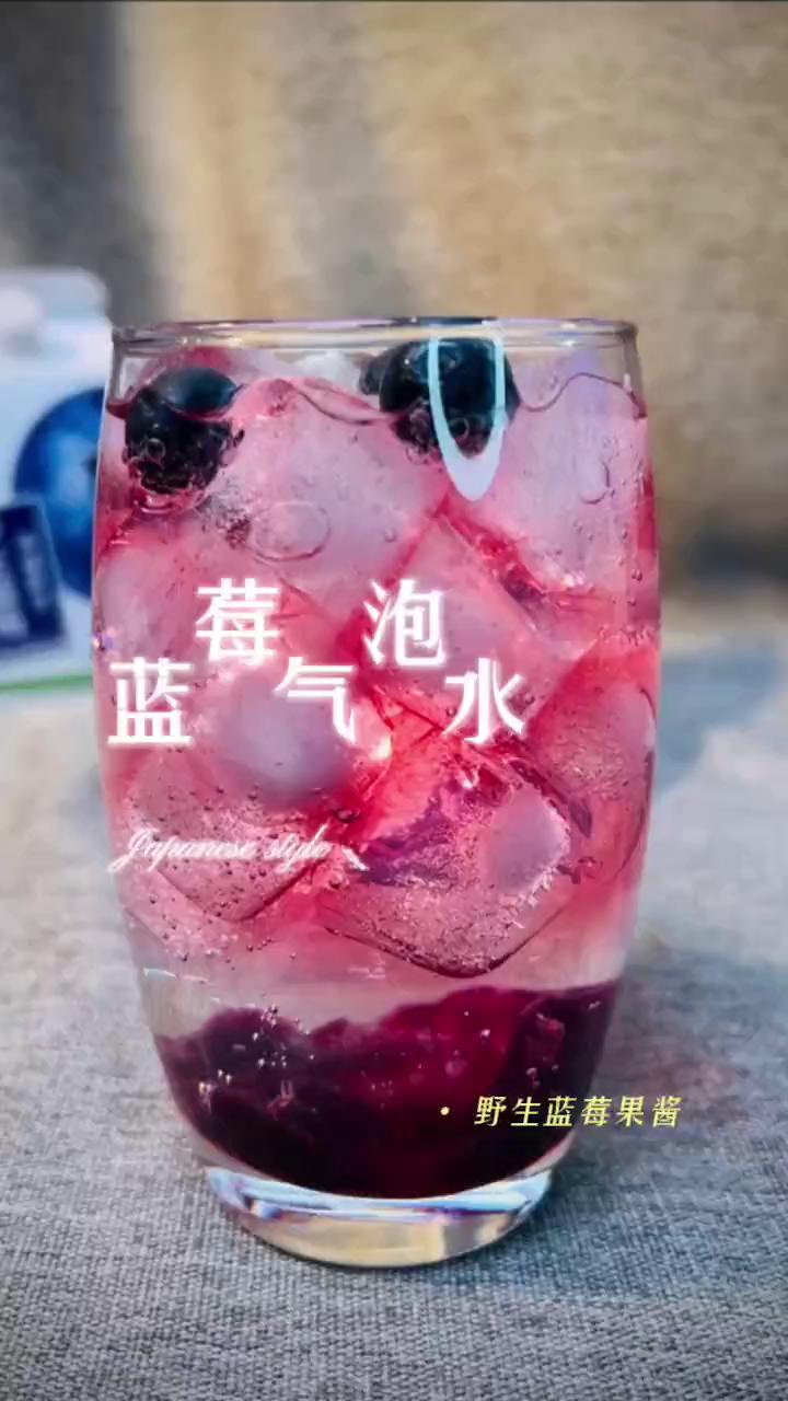 九鑫山珍170克瓶装野生蓝莓果酱（1瓶装）